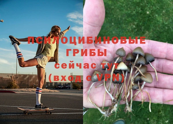 крисы Осташков