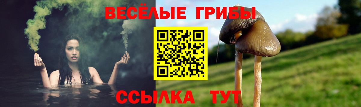 Соликамск  Псилоцибиновые грибы Psilocybine cubensis  Вход с VPN  Псилоцибиновые грибы Psilocybe 