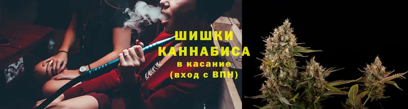 Бошки марихуана OG Kush  Соликамск 